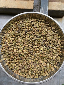 Granos de Café Verde Robusta Premium de Vietnam, Granos Enteros con un Sabor Intenso y Rico para Tostadores de Café - Product Image 3