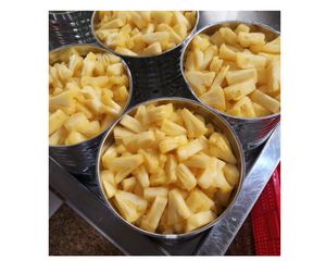 Piña enlatada más fina de Vietnam Piña enlatada jugosa y dulce empacada en grandes cantidades, ideal para mercados mayoristas globales - Product Image 2