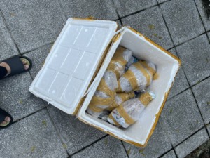 เครื่องทรัมเป็ตชาโรเนียขนาดใหญ่สำหรับดนตรีและการตกแต่ง - Product Image 2