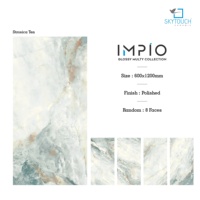 Hochwertige Porzellanfliesen 600x600mm Matt-Finish Verschleißfest für Villa-Innenwände und -Böden mit Lebenslanger Garantie