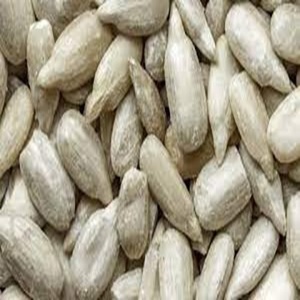 Pure and Natural Food Grade Sunflower Seeds Available for Sale at Wholesale Price - Product Image 5