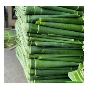 กล้วยสดแช่แข็งใบมีคุณภาพสูงสำหรับห่อแบบดั้งเดิม - Product Image 1