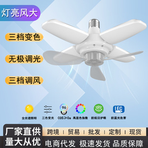 LED - Product Image 5