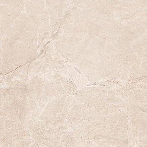 Choix de la meilleure qualité Fabrication de carreaux de sol émaillés en porcelaine de qualité supérieure en Inde pour la maison de salle de bain. - Product Image 3