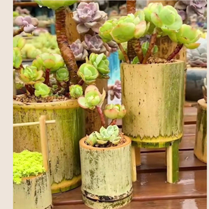 Tube de jardinière suspendu en bambou fait à la main-Jardin naturel et décoration de la maison - Product Image 2