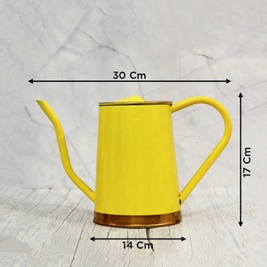 Arrosoir à revêtement en poudre métallique avec Long bec pour une utilisation intérieure et extérieure | Meilleur outil de jardinage domestique 2 litres - Product Image 6