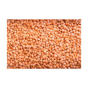 Lentejas rojas ricas en proteínas, ofrecidas a granel con suministro directo de fábrica - Product Image 2