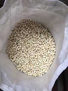 ผู้ผลิตและผู้ส่งออกเมล็ดบัวแห้งธรรมชาติคุณภาพพรีเมียมจากเวียดนาม - Product Image 3