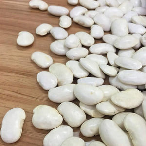 Proveedor de Frijoles Blancos de Primera Calidad, Frijoles Secos Naturales - Product Image 1