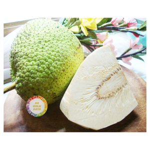 REBANADAS DE FRUTAS DE PAN CONGELADAS IQF DE PROVEEDOR DE VIETNAM PARA INDUSTRIA DE POSTRES Y COCINA DE FÁBRICA DE ALIMENTOS - Product Image 1