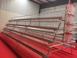 A-Type Galvanization Laying <b>Chicken</b> Coop Battery <b>Cages</b> for Poultry <b>Chicken</b> Layer New Efficient Animal Wholesale <b>Cage</b> - Product Image 6