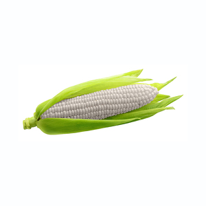 ข้าวโพดขาวพรีเมียมสำหรับการค้าส่งในระบบซัพพลายเชน - Product Image 6