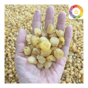 Fábrica OEM embalaje suave secado Longan Vietnam dulce Longan rebanadas de carne suministro a granel para té o merienda - Product Image 6