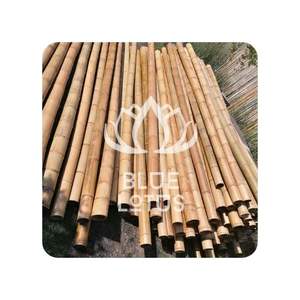 MEJOR PRECIO Postes de Bambú Azul Lotus 2025 Postes de Bambú para Paisajismo - Product Image 1