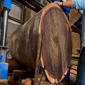 Troncos de Teca Redondos Secos de Primera Calidad, Madera de Pino Natural Duradera a Granel, Mejor Precio por Calidad - Product Image 5