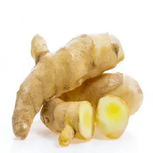 High Quality Ginger fresh young ginger high quality new crop package in carton for wholesale fresh ginger