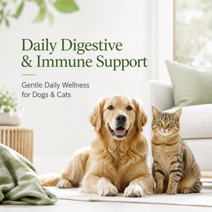 Pasta Probiótica de Alta Potencia para Perros y Gatos, Suplemento de Apoyo Digestivo, Refuerzo de la Salud Intestinal, Gel de Bienestar Felino y Canino - Product Image 5