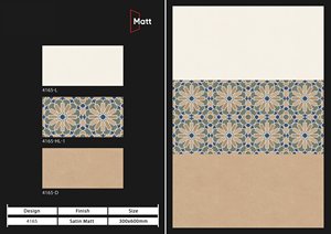 Fabricante directo India 300x600mmAzulejos de pared digitales esmaltados de cerámica mate Alta calidad Nuevo diseño moderno Villas Sólido - Product Image 6