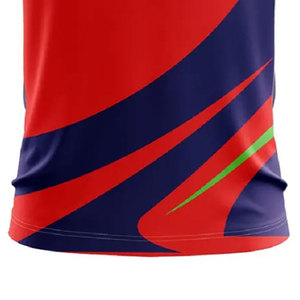 Uniforme de Cricket Multicolor con Logotipo Personalizado 2026, Ropa Deportiva al por Mayor, Nuevo Diseño - Product Image 3