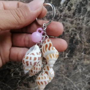 Conchas marinas de Babilonia de alta calidad, Concha decorativa de Areola hecha a mano de Vietnam, estilo de Animal náutico pulido - Product Image 5