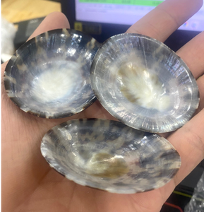 Carcasa de Lapa marrón y beige pulida - Product Image 5