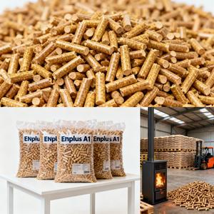 Pellets de Madera de Tailandia, Empaque de 40 kg, Combustible Renovable de Bajas Emisiones - Product Image 4