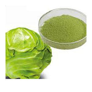 Polvo de Repollo Apto para la Industria Alimentaria y Cocinas Comerciales a Precio Competitivo - Product Image 5