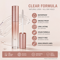 Gel Cils et Sourcils Transparent OEM, Tenue Forte, Vegan, Résistant à l'Eau, Kit de Lifting Brun, Marque Privée