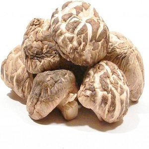 Champignons Shiitake séchés de meilleure qualité - Product Image 1