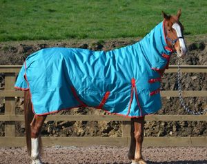 600D RIP STOP & 350g Combo Heavyweight Horse Turnout Rug Toutes les tailles 5'3 "-7'0" - Product Image 1