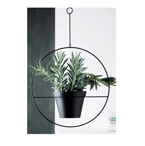 Jardinière murale en fer pour la conception de jardins verticaux, améliorant l'environnement domestique avec la beauté des plantes naturelles - Product Image 3
