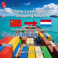 Conteneur de fret maritime surdimensionné DDU DDP Chine vers LU/Luxembourg via CMACGM Hubo avec assurance