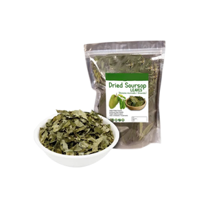 Hojas de Guanábana de Graviola secas, té de hierbas, procesamiento fresco y crudo, embalaje a granel o en bolsa especial para adelgazar - Product Image 5