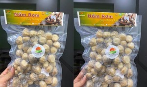 Champignons de paille surgelés au goût frais du Vietnam pour les cuisines mondiales et les importateurs - Product Image 4