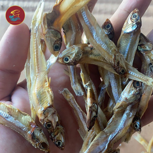 Premium Crispy Fried Dried Anchovy Natural Color Flavor Processed In-Stock Bulk Packaging Ready Ship Vietnam Hot Seafood Snacks - Product Image 2