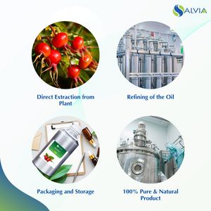 Aceite de rosa mosqueta 100% puro y natural al por mayor a granel precio más bajo embalaje personalizado - Product Image 4