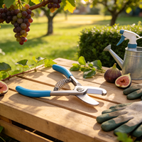 Ciseaux professionnels pour la récolte d'avocats, ciseaux de jardinage pour la cueillette de fruits, outil de taille pour la collecte d'avocats dans les fermes et vergers