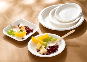 Plato de pulpa de caña de azúcar ecológico Natural de 6 pulgadas plato de bagazo redondo desechable biodegradable y sin productos químicos - Product Image 5