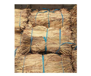 Jacinto de agua cruda Premium de Vietnam para exportación-Jacinto de agua cruda ecológico a granel para diseños artesanales sostenibles - Product Image 6