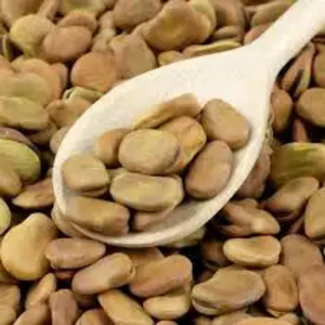 Venta al por mayor de alta calidad Dry Split Fava Beans Broad Beans - Product Image 5