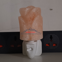 Lampe en cristal de sel de l'Himalaya JOBAK de qualité supérieure, sculptée à la main, support d'ampoule réglable en forme de fleur, lumière d'ambiance chaude Feng Shui