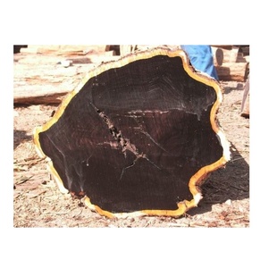 Abordable en vrac bois d'ébène à vendre ébène noir de qualité à bas prix parfait pour tous vos projets de bois - Product Image 6