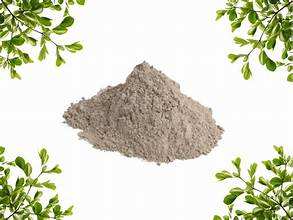 POLVO DE MUSGO DE MAR IRLANDÉS PURO SUPERALIMENTO ORGÁNICO PARA APOYO INMUNE Y TIROIDES - Product Image 3