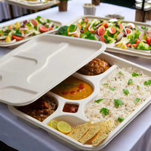 Meilleures assiettes biodégradables en canne à sucre, assiettes jetables étanches pour les barbecues, les buffets et les événements d'entreprise - Product Image 3