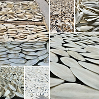 Top Vente Os De Seiche Calcium Naturel Pour Oiseaux Perroquets Tortues Lapins Bec Garniture Shell Support Artisanat Fourniture