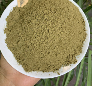 ผงมะระขม | 100% ธรรมชาติและตากแดด | ราคาขายส่งที่ดีที่สุดในเวียดนาม - Product Image 3