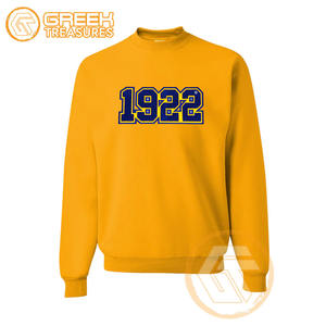 Sweat-shirt à capuche en molleton de coton écologique personnalisé de haute qualité Sigma Gamma Rho Automne Hiver Broderie sur le devant - Product Image 3