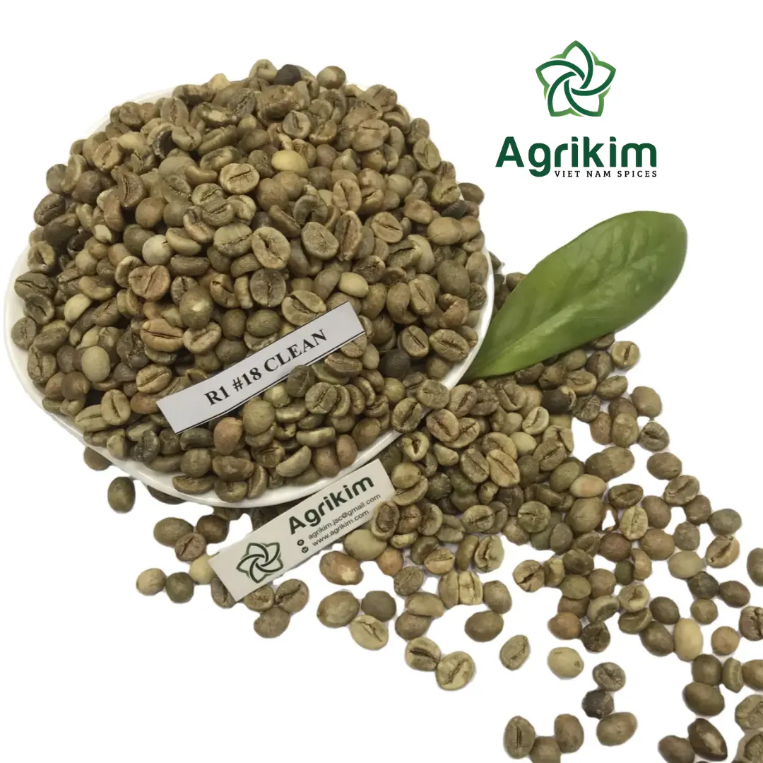 100% fagioli verdi puri schermo arabica 14 15 16 17 chicco di caffè crudo dal Vietnam