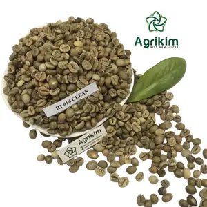 100% 純粋なインゲンのアラビカスクリーン1415 1617ベトナムの生コーヒー豆