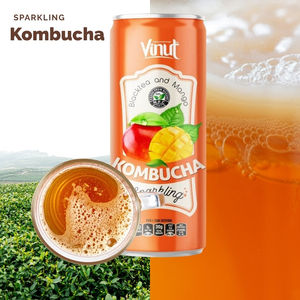 250ml Can VINUT Kombucha Black <b>Tea</b> with Mango Sparkling Drink Wholesale Suppliers and Manufacturers OEM ODM Private Label - Product Image 5